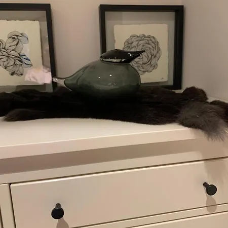 Апартаменты Colette Остенде