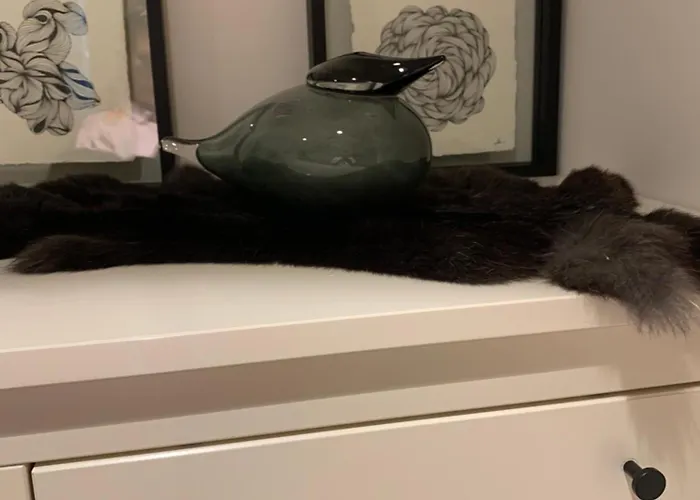 Apartment Colette Ostende